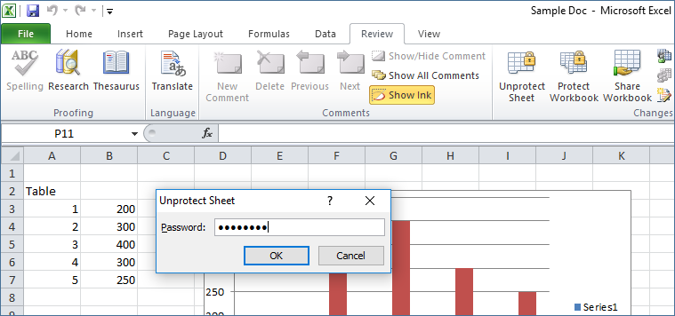 Excel Password Protect